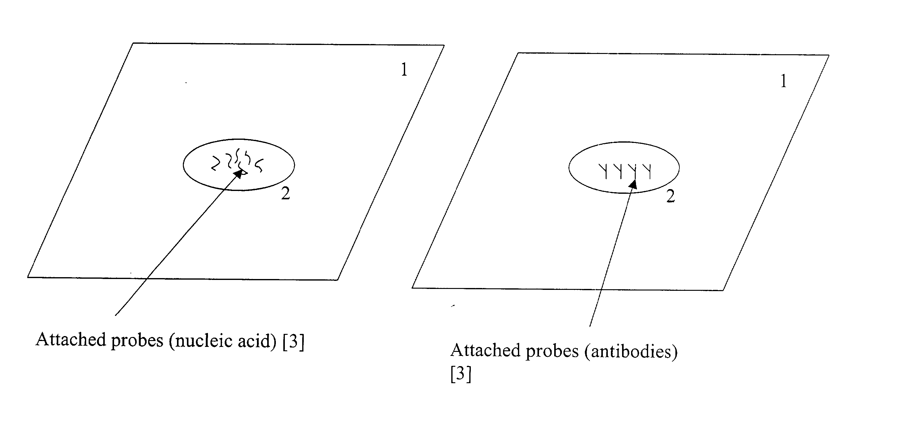 Method of detecting molecular target by particulate binding