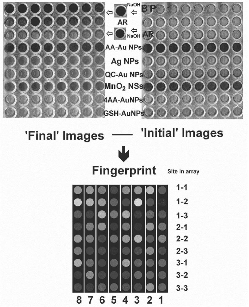 Method for rapidly detecting white spirit based on nanometer material-organic dye colorimetric sensing array