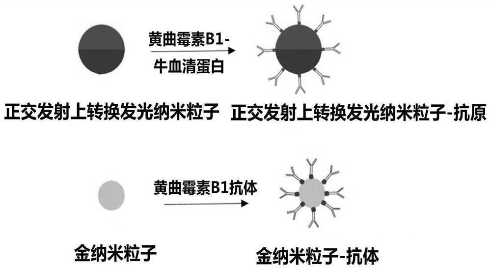 Double-excitation orthogonal emission up-conversion luminescence nano-particles, multi-flux detection immunochromatography test paper and application of multi-flux detection immunochromatography test paper