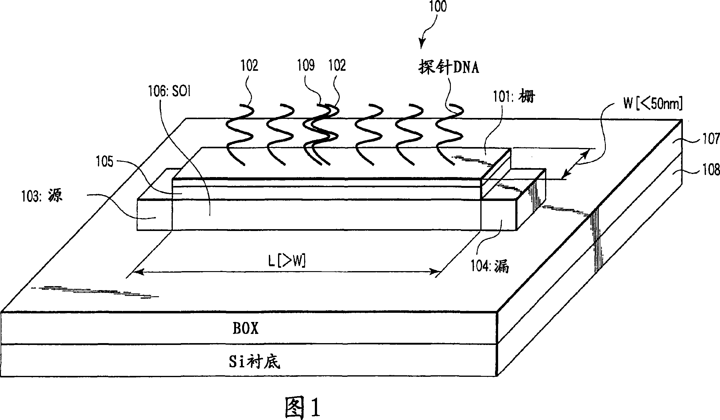 FET based nucleic acid detecting sensor