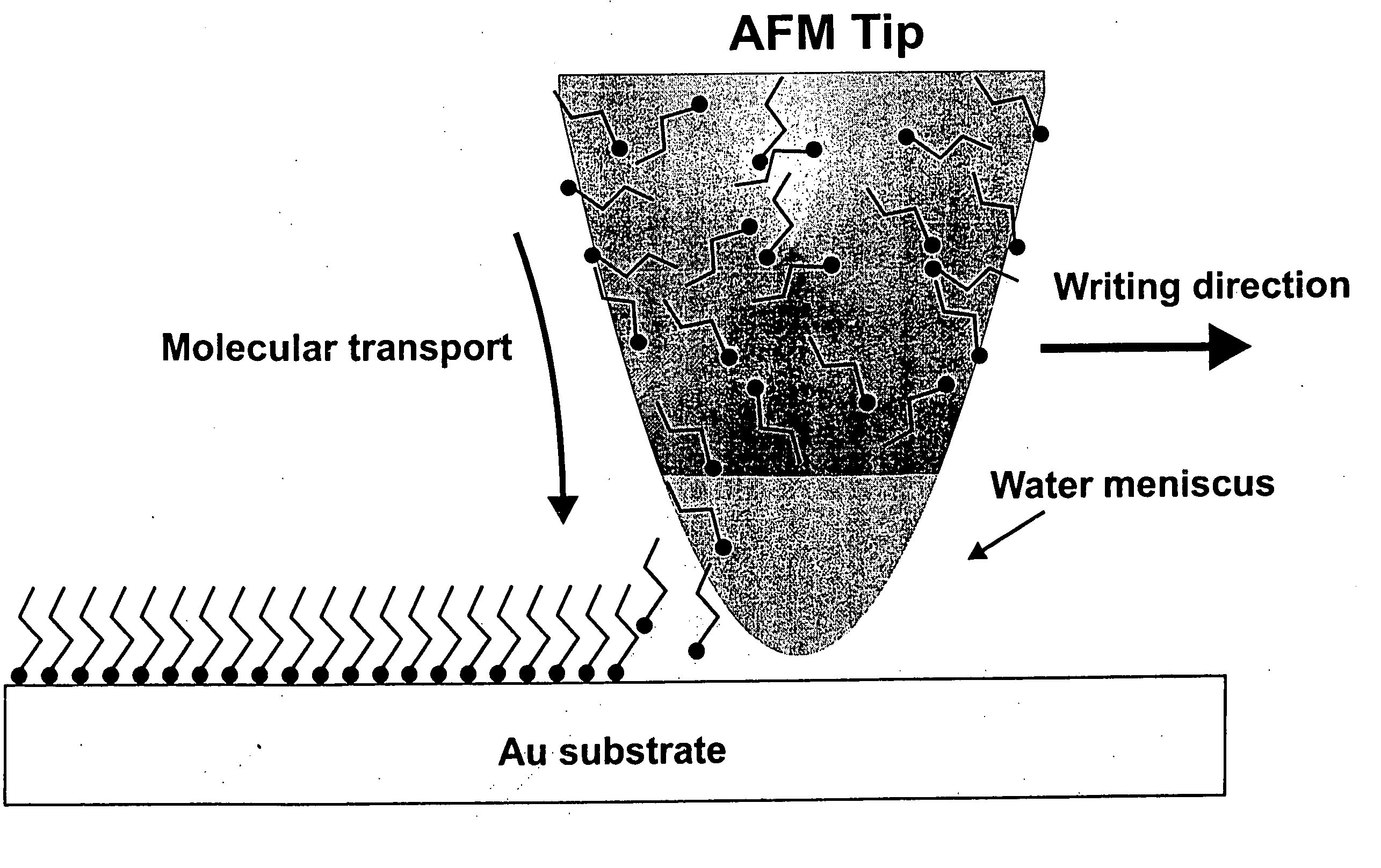 Methods utilizing scanning probe microscope tips and products therefor or produced thereby