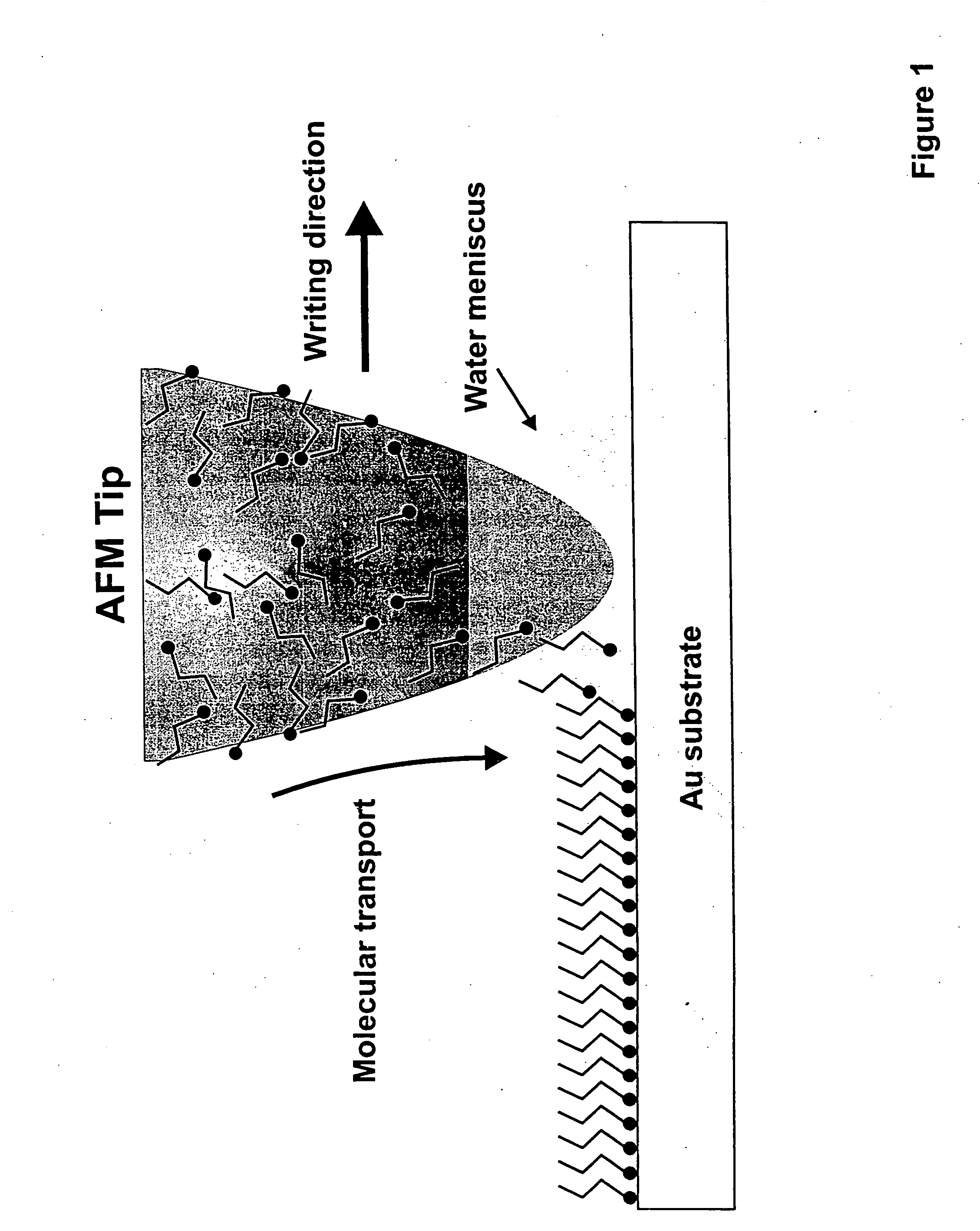 Methods utilizing scanning probe microscope tips and products therefor or produced thereby