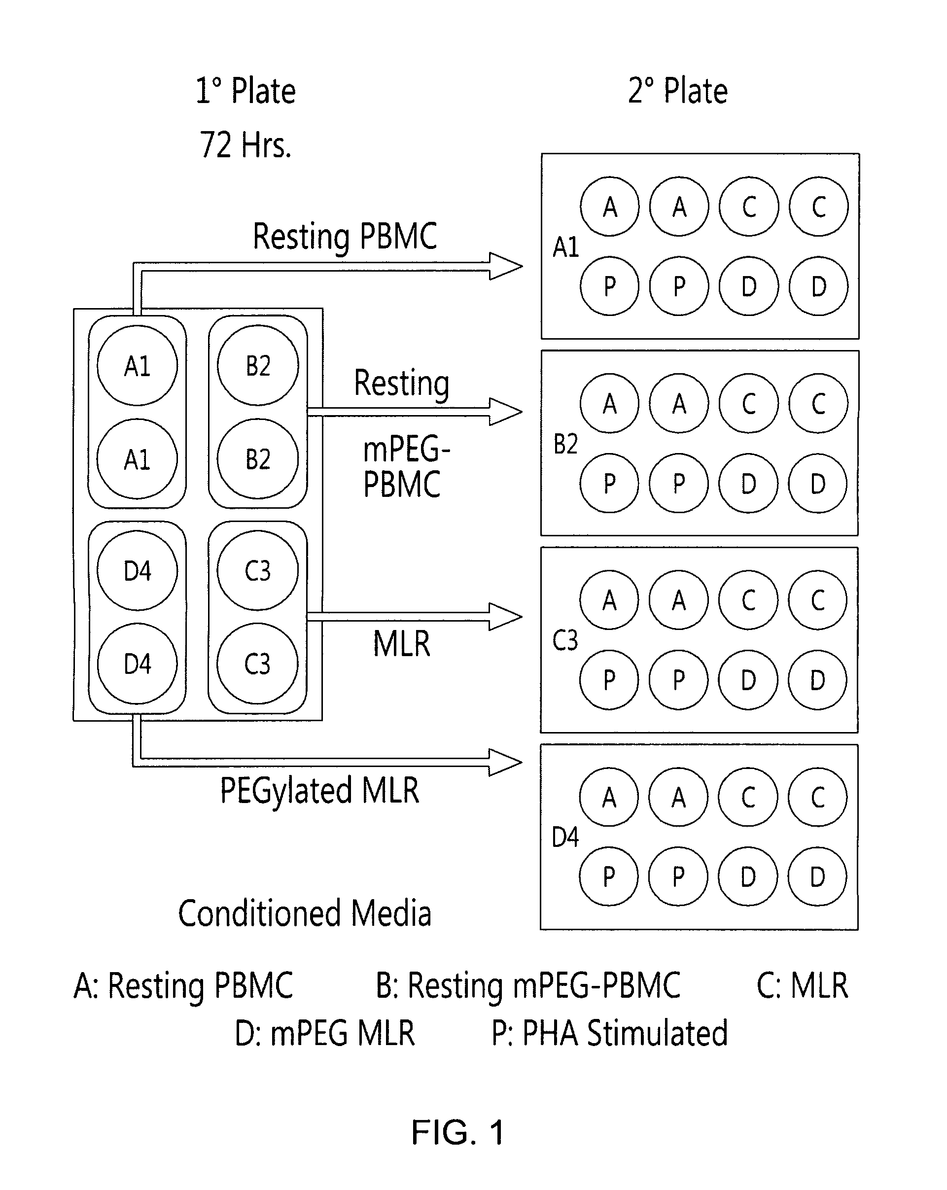 Method for Inducing Immune Tolerance Using Viable Polymer-Modified Allogeneic Leukocytes