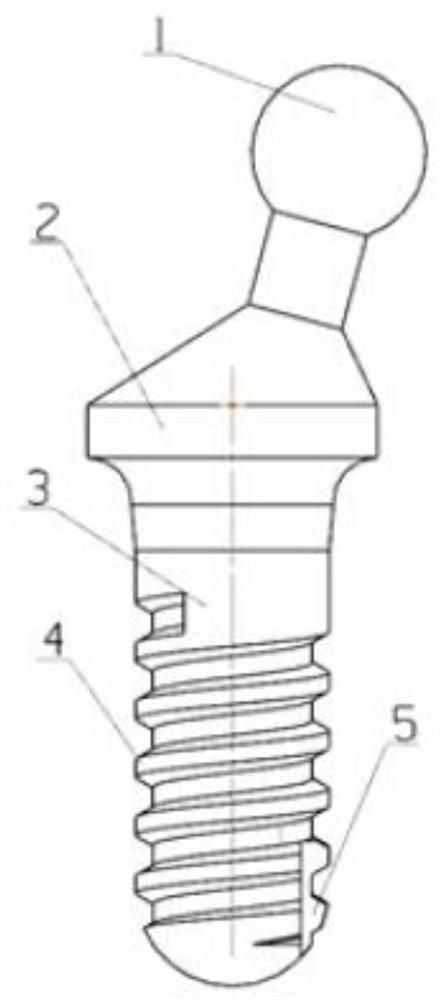 Whisker reinforced zirconium oxide implant