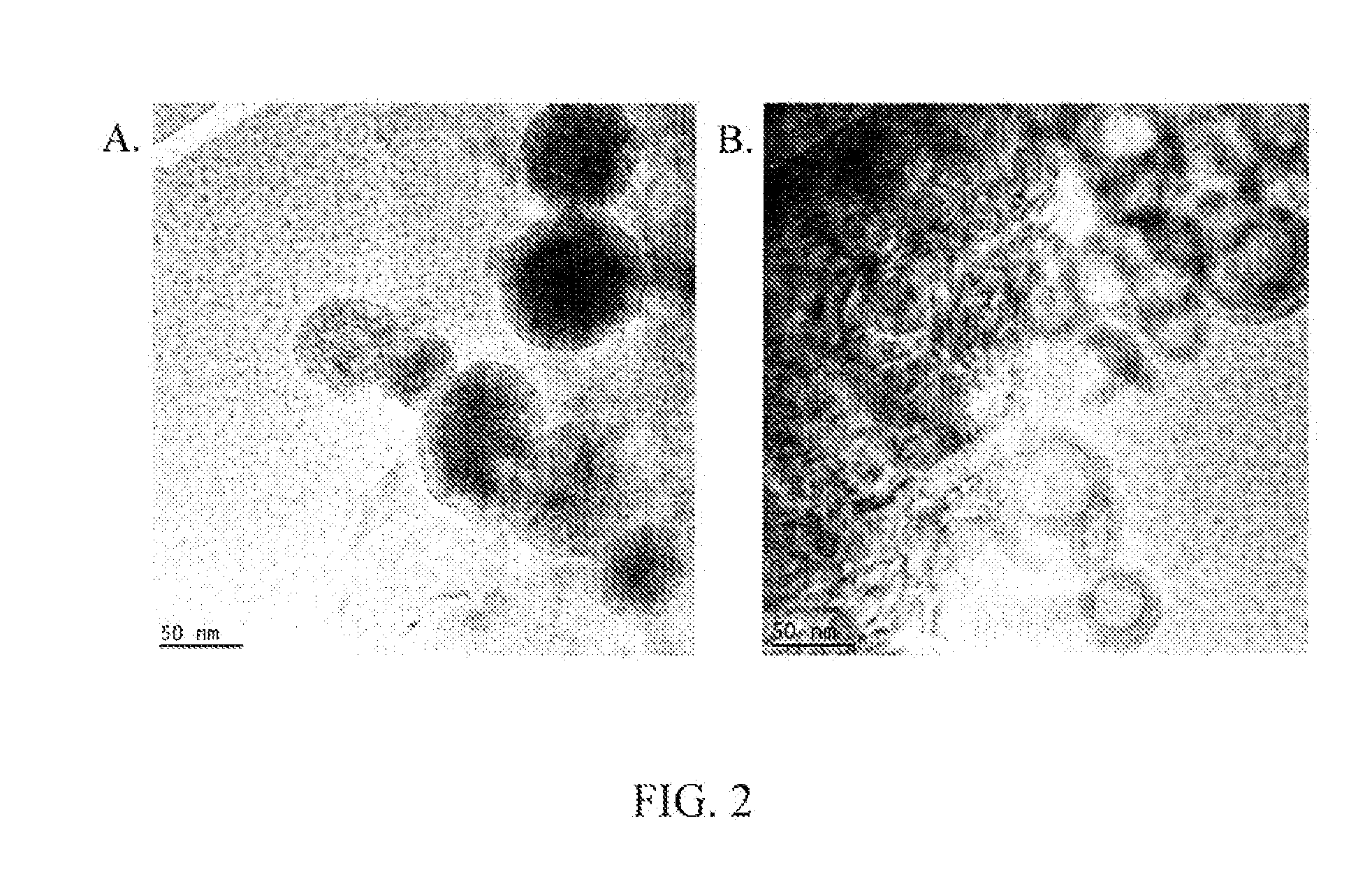 Thermotherapy susceptors and methods of using same