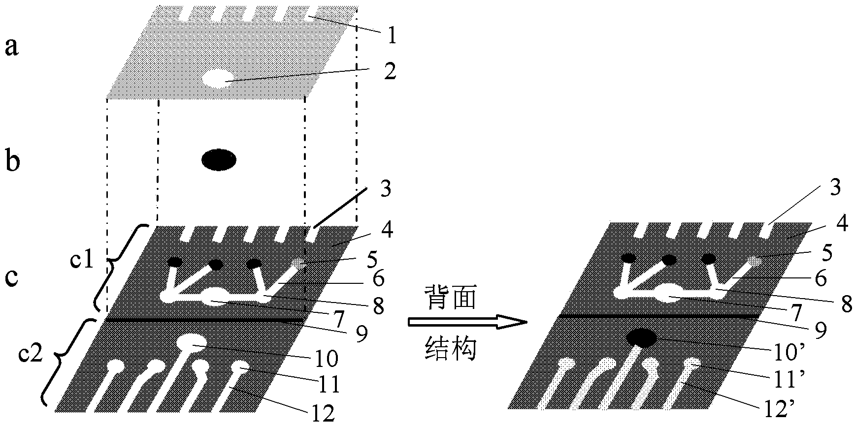 Multi-parameter paper-chip electrochemical immunosensor and method for detecting lung cancer markers