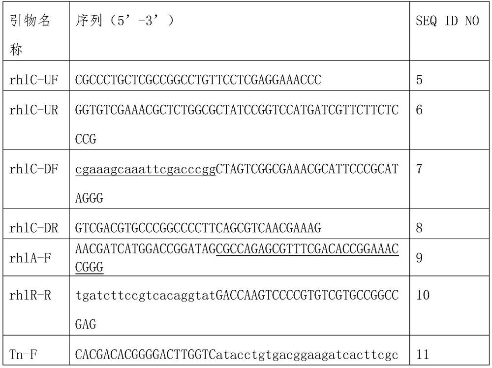 Monorhamnolipid production strain and application thereof