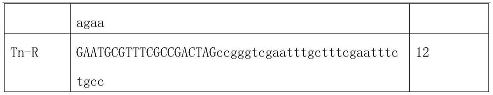 Monorhamnolipid production strain and application thereof