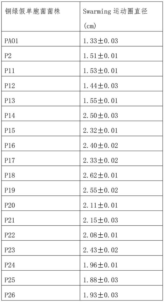 Monorhamnolipid production strain and application thereof