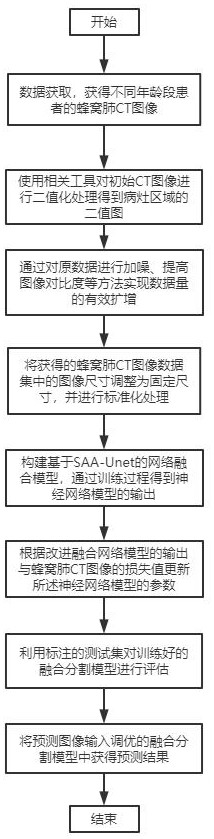 Honeycomb lung focus segmentation method based on SAA-Unet network