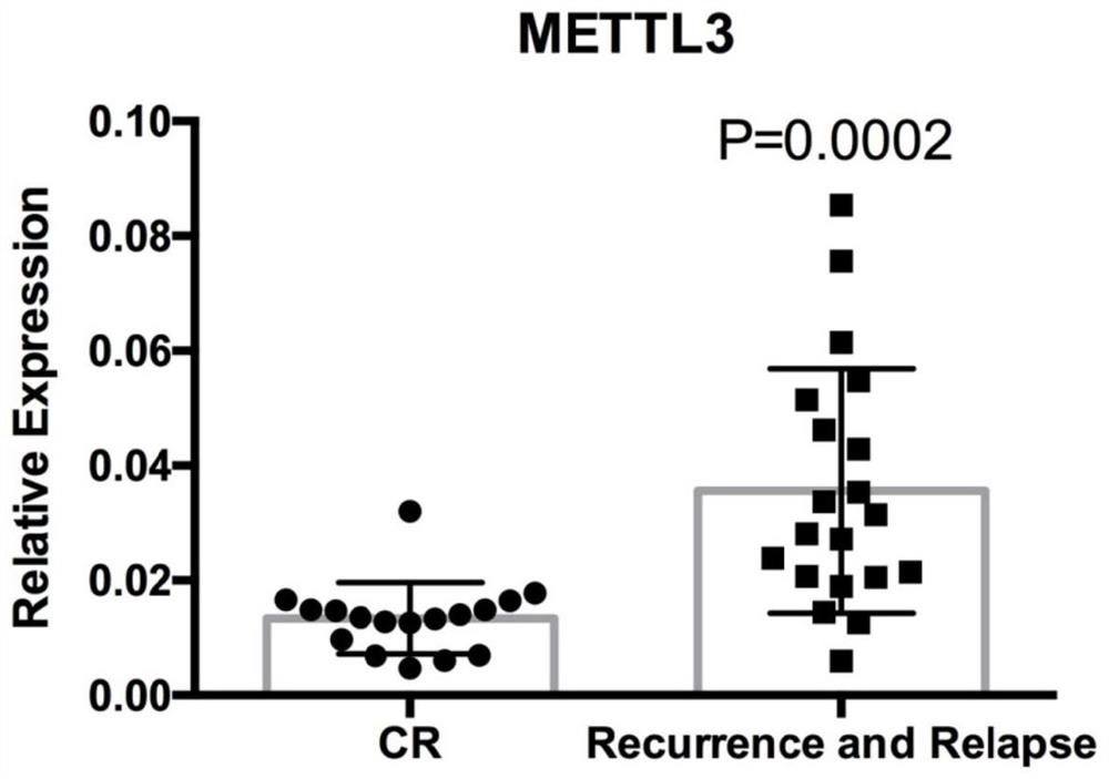 Application of METTL3 in AML chemotherapy drug resistance