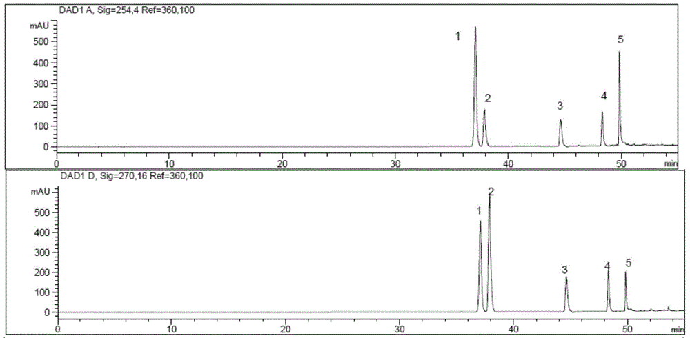 Method for rapidly detecting index composition in Chinese herbal medicine compound preparation