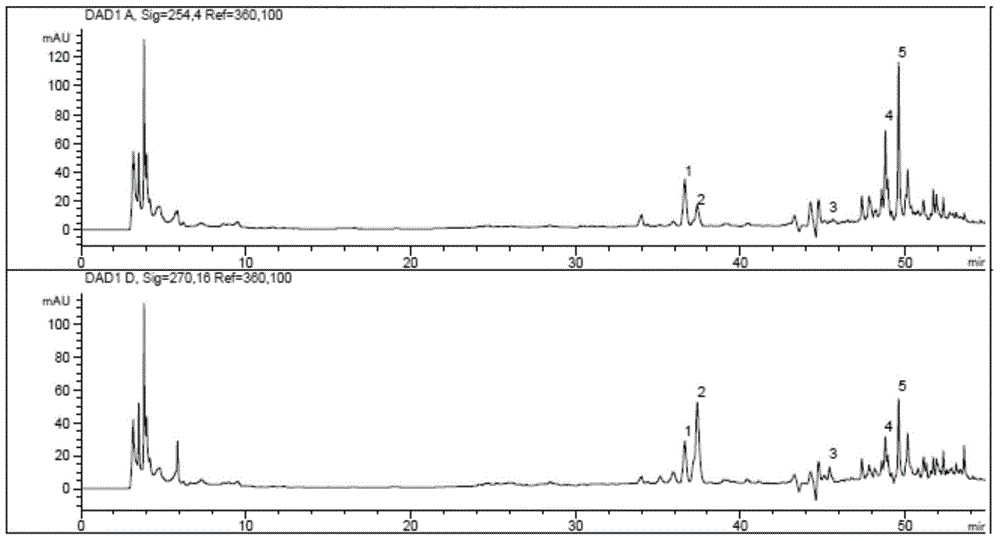 Method for rapidly detecting index composition in Chinese herbal medicine compound preparation