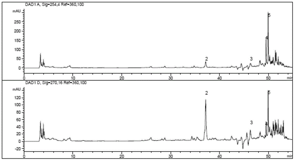 Method for rapidly detecting index composition in Chinese herbal medicine compound preparation