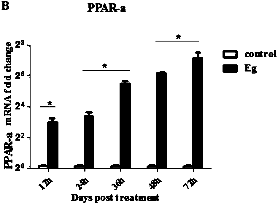 Method for researching influence on macrophage polarization by PPARs