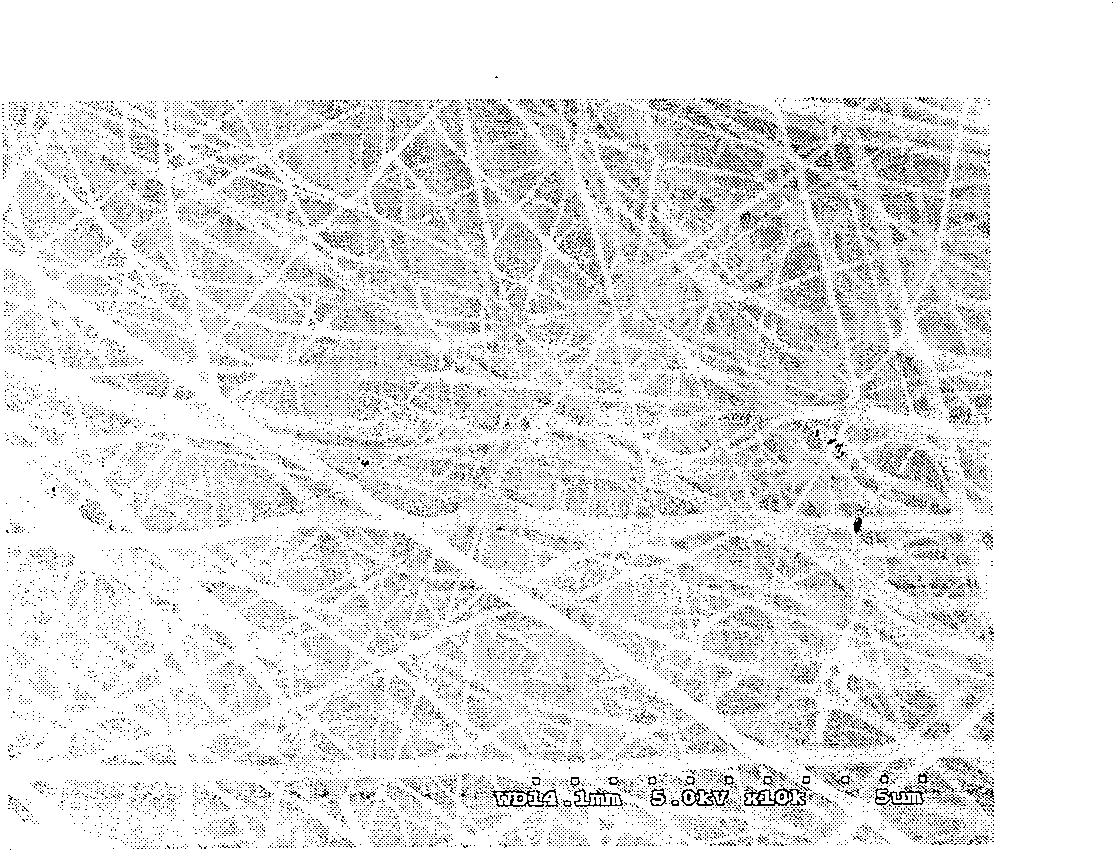 Degradable and absorbable polymer nano fibrous membrane materials and preparation process and use thereof