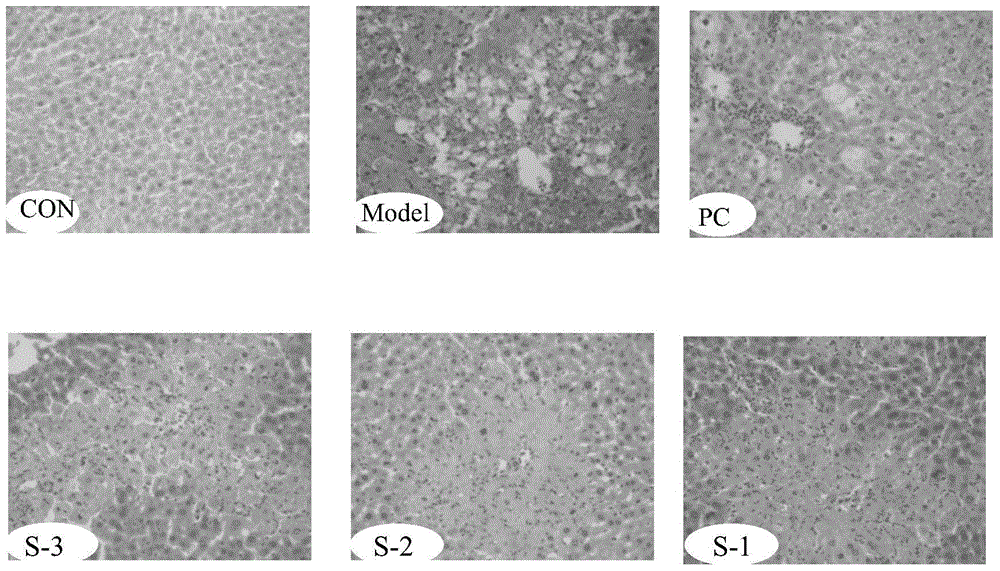 A kind of soft capsule containing salvia miltiorrhiza extract and preparation method thereof