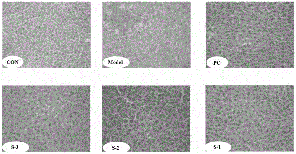 A kind of soft capsule containing salvia miltiorrhiza extract and preparation method thereof