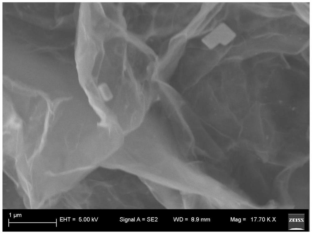 A 3D graphene carbon electrode, preparation method and full battery