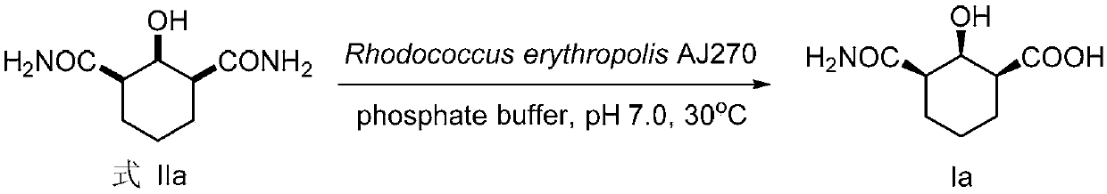 A class of chiral beta-hydroxyamide compounds, preparation method and applications thereof,