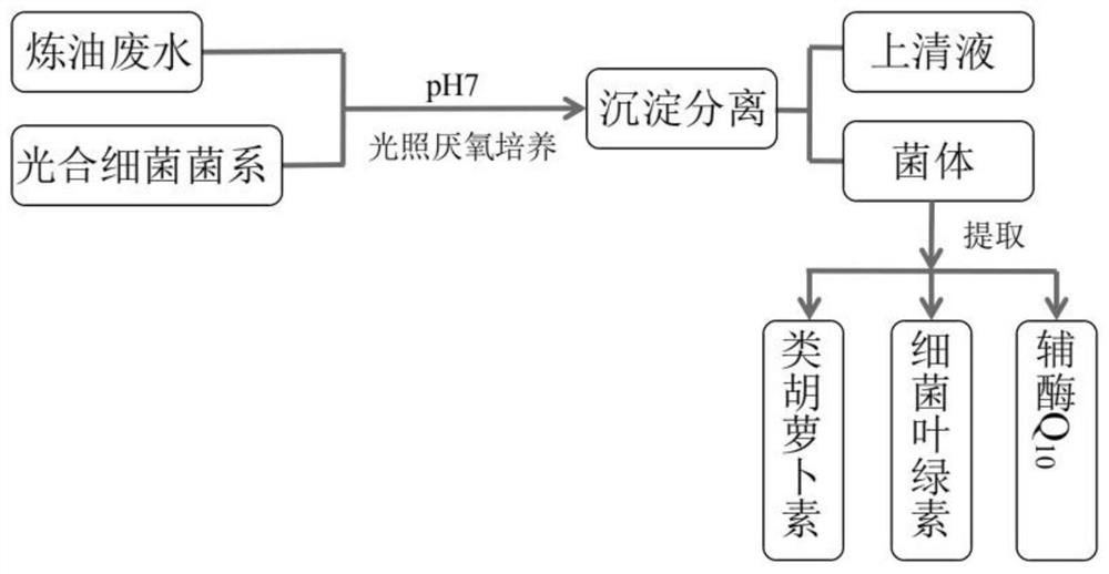 Method for efficiently degrading pollutants in oil refining wastewater by using photosynthetic bacterium system