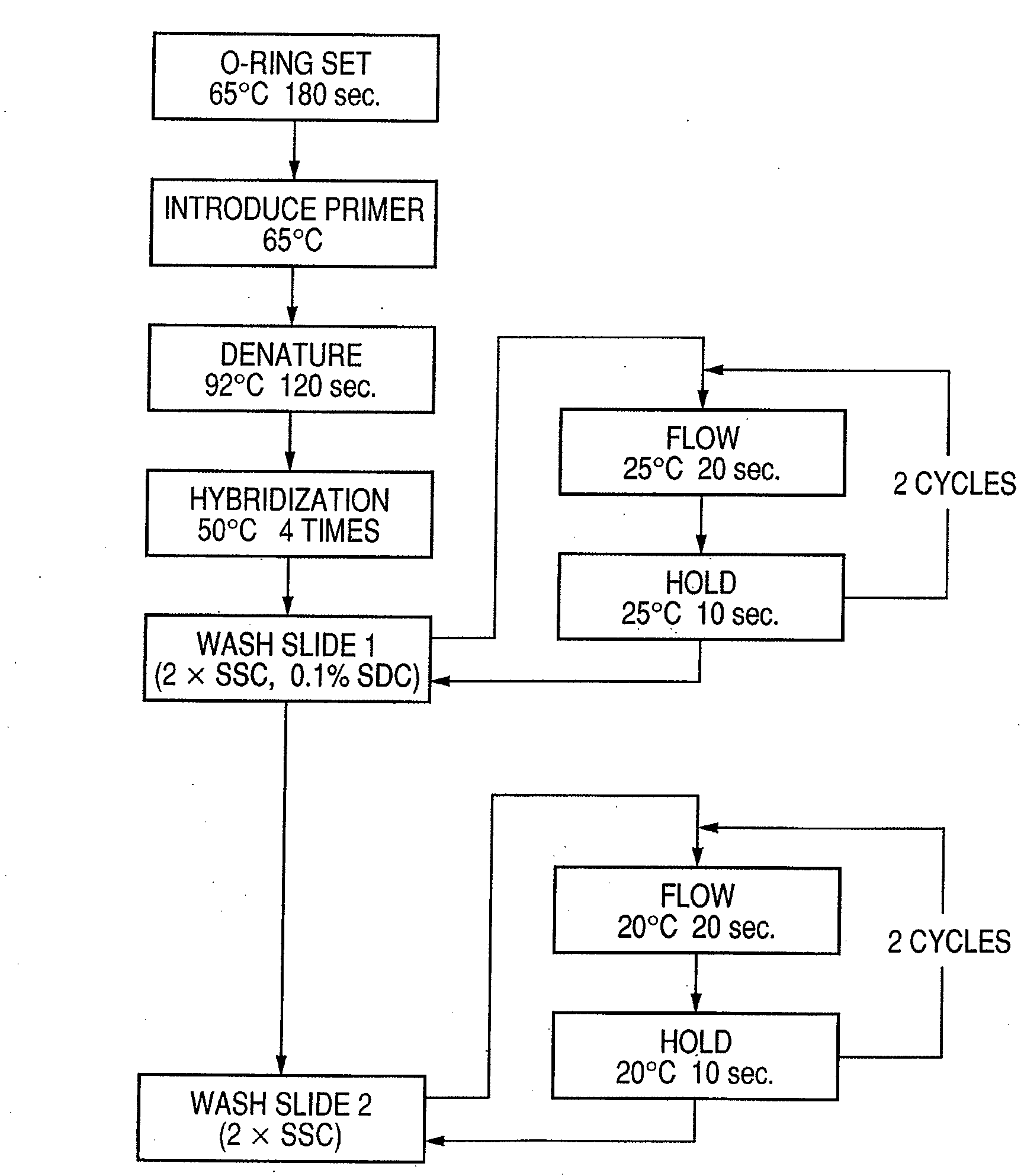 Probe, probe set, probe carrier, and testing method