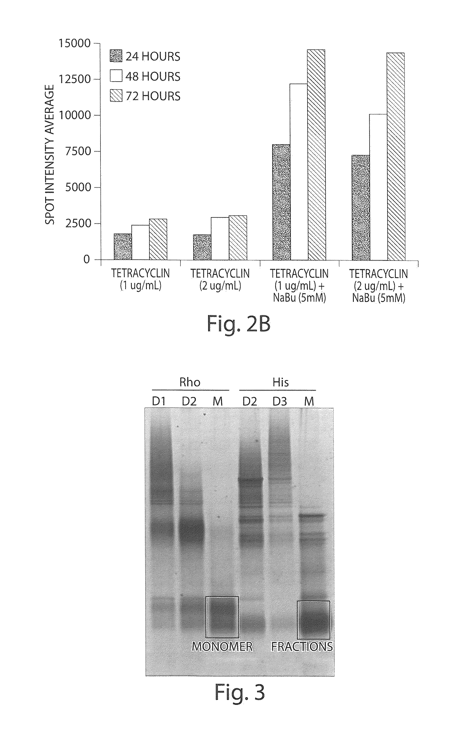 Multiplexed Olfactory Receptor-Based Microsurface Plasmon Polariton Detector