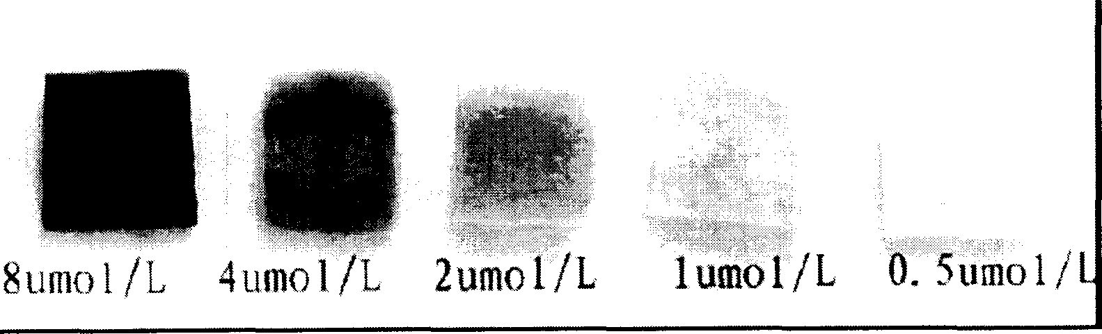 Enzyme test peper for detecting hydrogen peroxide concentration