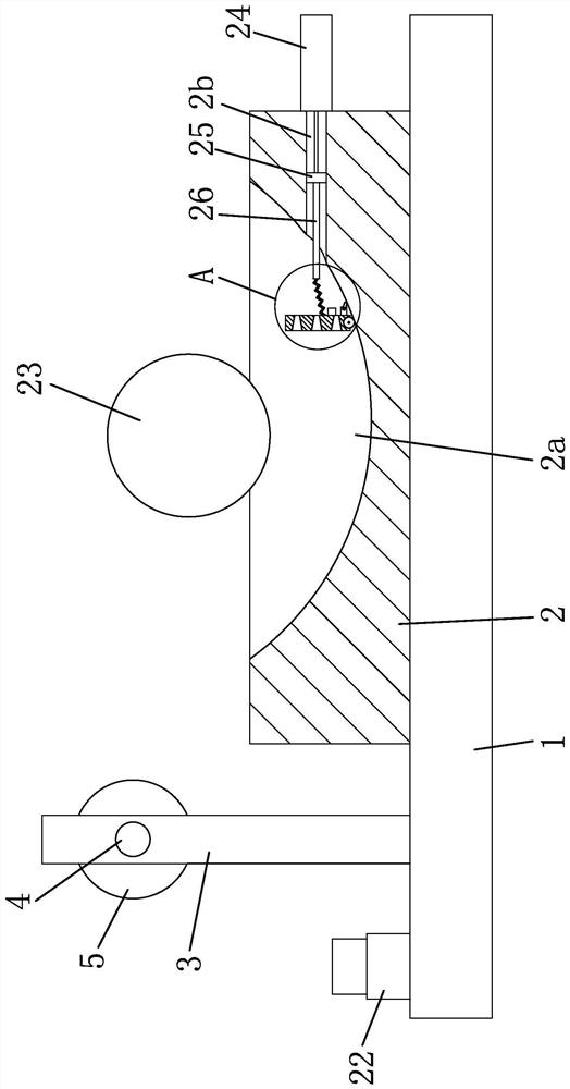 A dyeing device for fabric