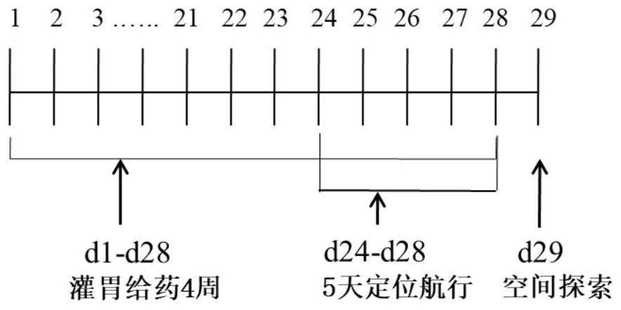 Tablet for improving learning memory and preparation method thereof