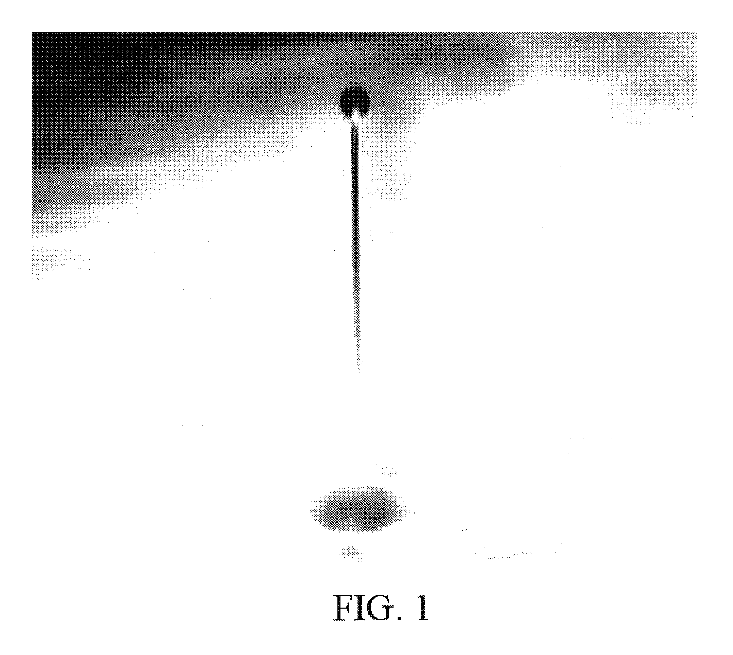 Photocurable pigment type inkjet ink composition