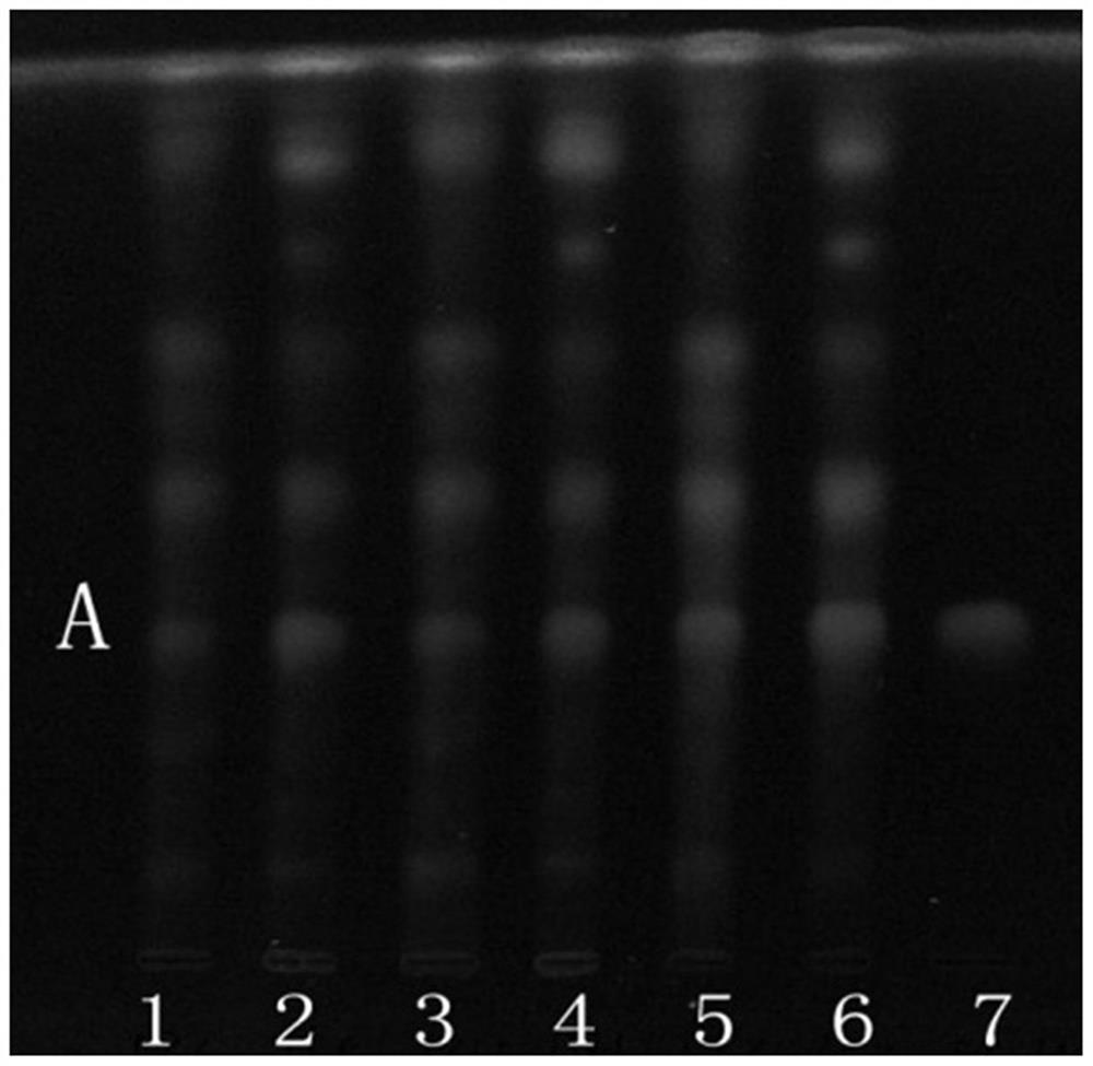 Thin-layer chromatography identification method for rhus chinensis