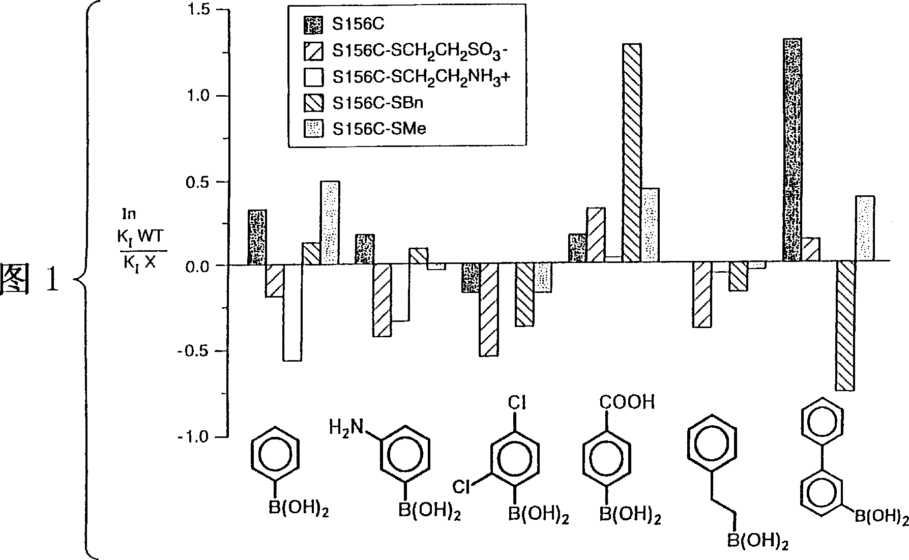 Chemically modified enzymes