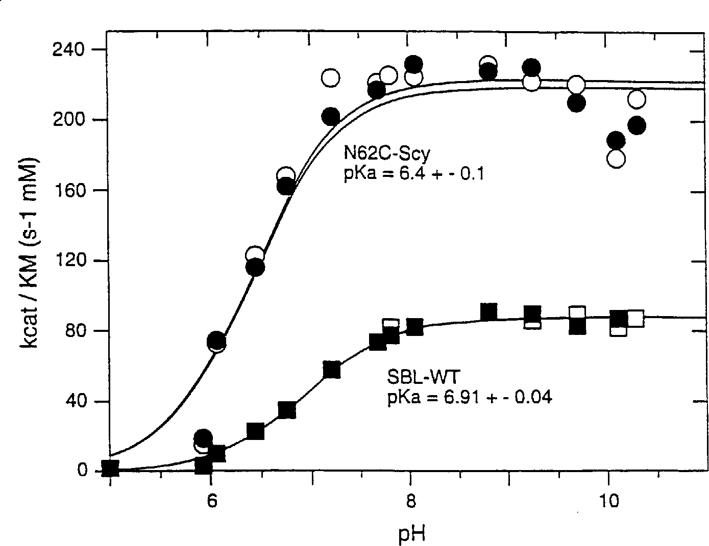 Chemically modified enzymes