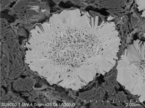 A kind of hollow positive electrode material and its precursor, and preparation method