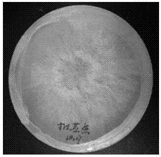 Method for improving alkaloid content of dendrobium huoshanense protocorm