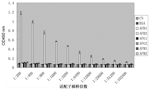 Single chain DNA oligonucleotide aptamer capable of specifically recognizing aflatoxin B1