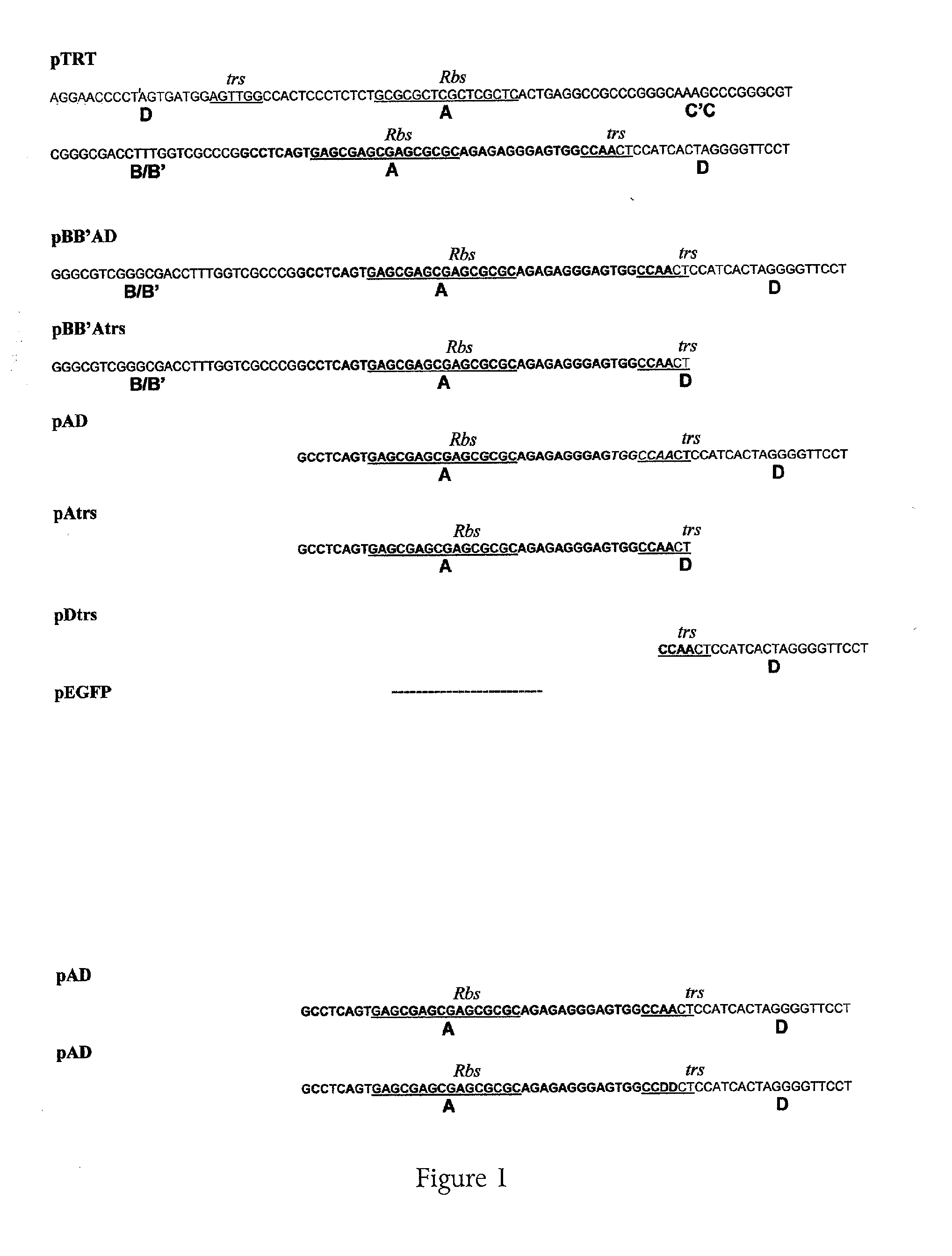 Method for generating replication defective viral vectors that are helper free