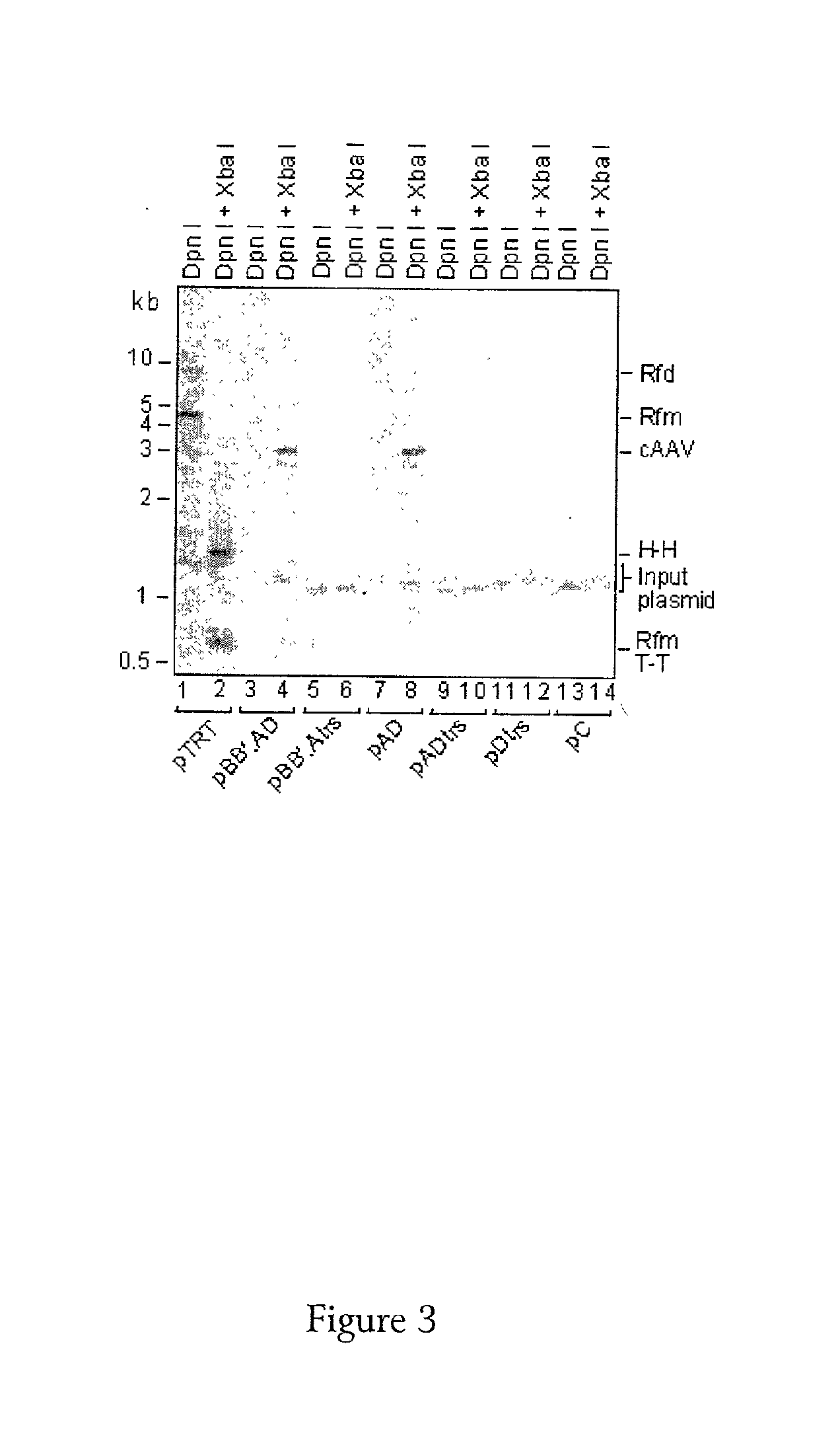 Method for generating replication defective viral vectors that are helper free