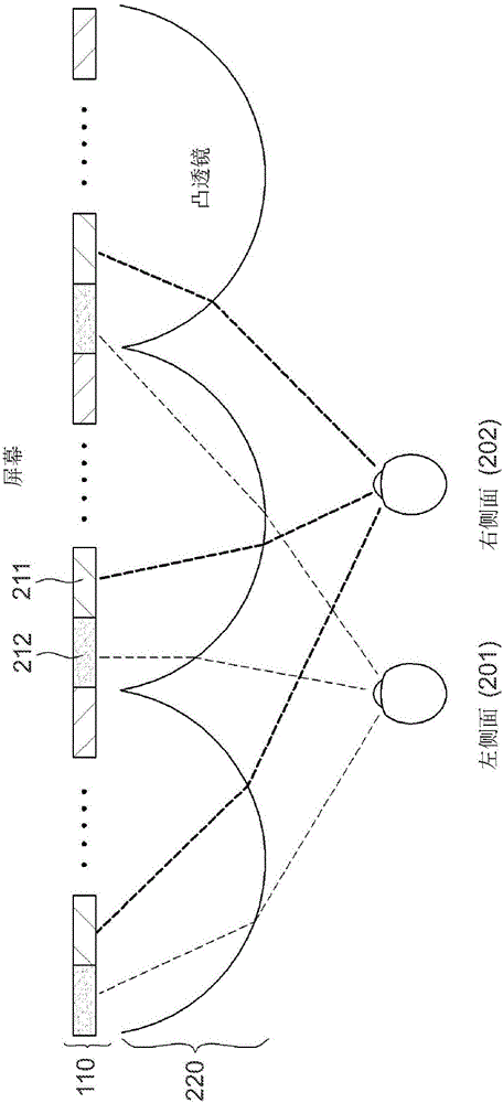 Dual viewing film and dual view display apparatus using the same