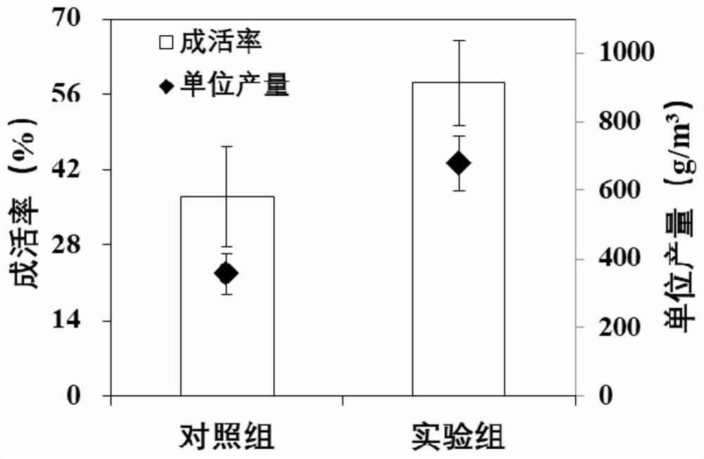 A flocculant-producing strain and its application in shrimp biofloc culture and dye decolorization