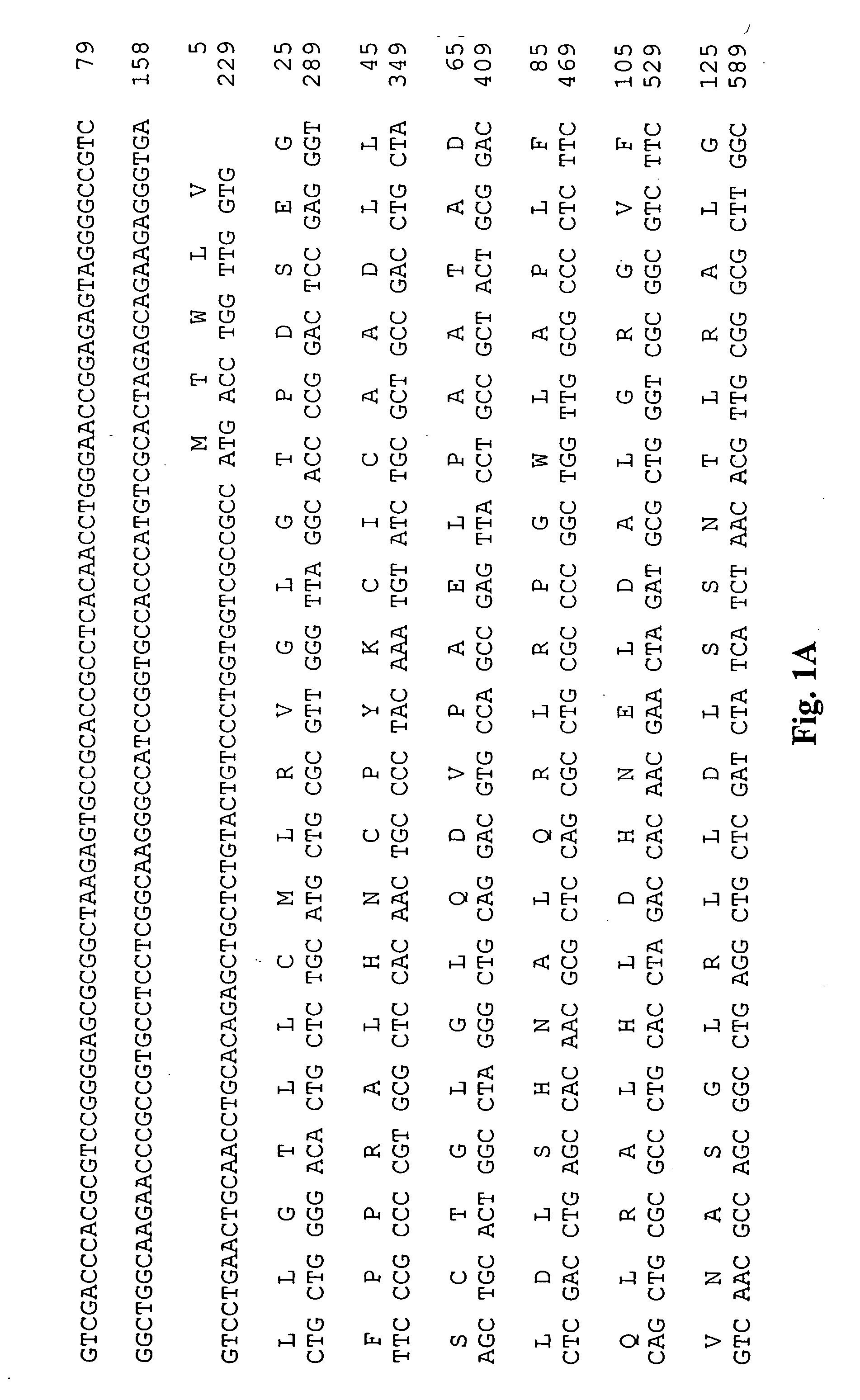 Antibodies having diagnostic, preventive, therapeutic, and other uses