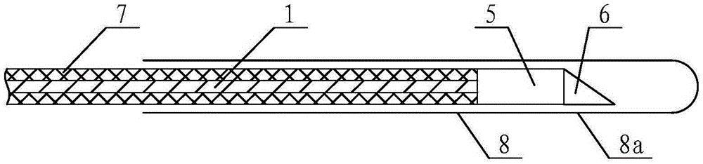 an endoscope