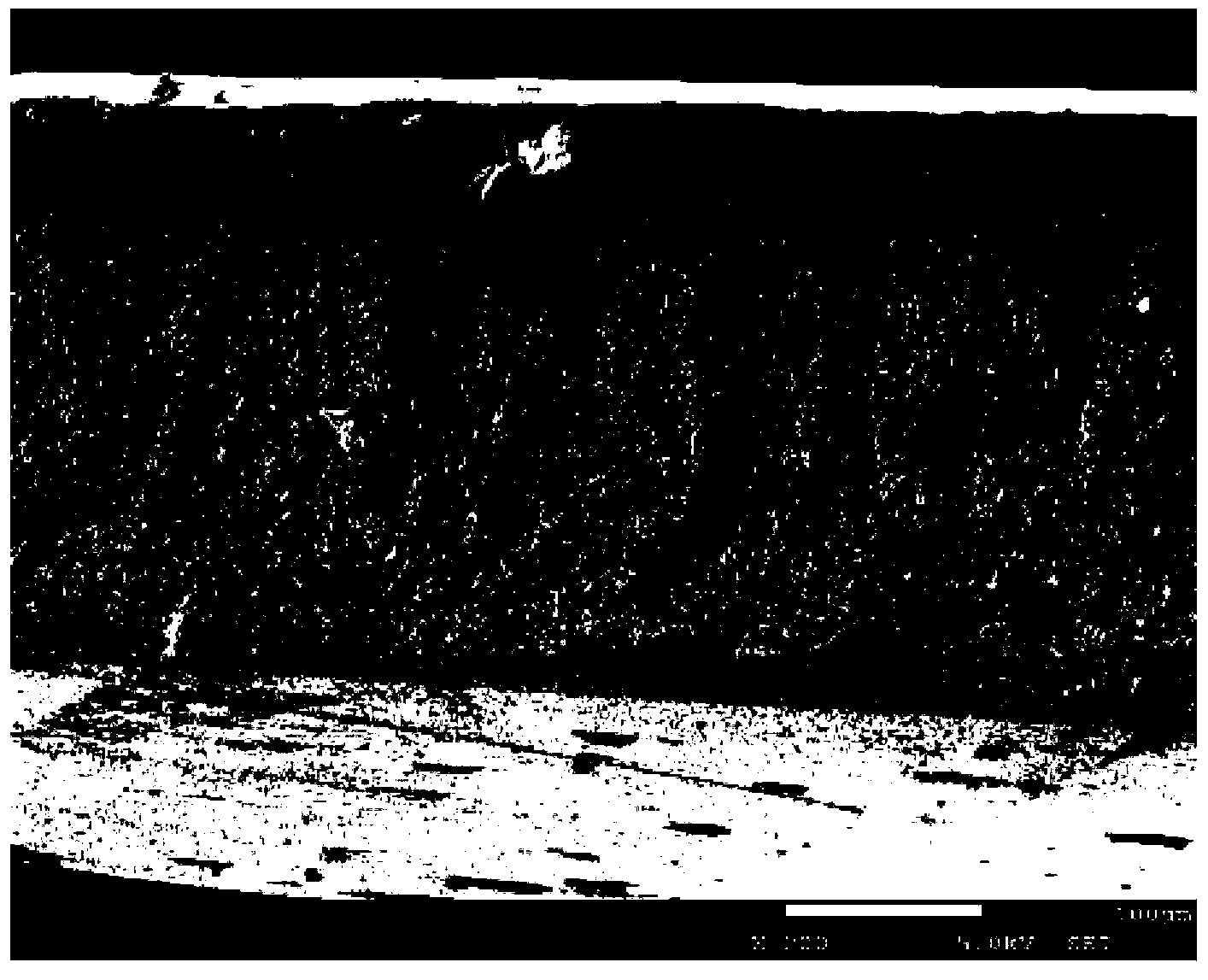 Porous polyimide nanometer composite film and preparation method thereof