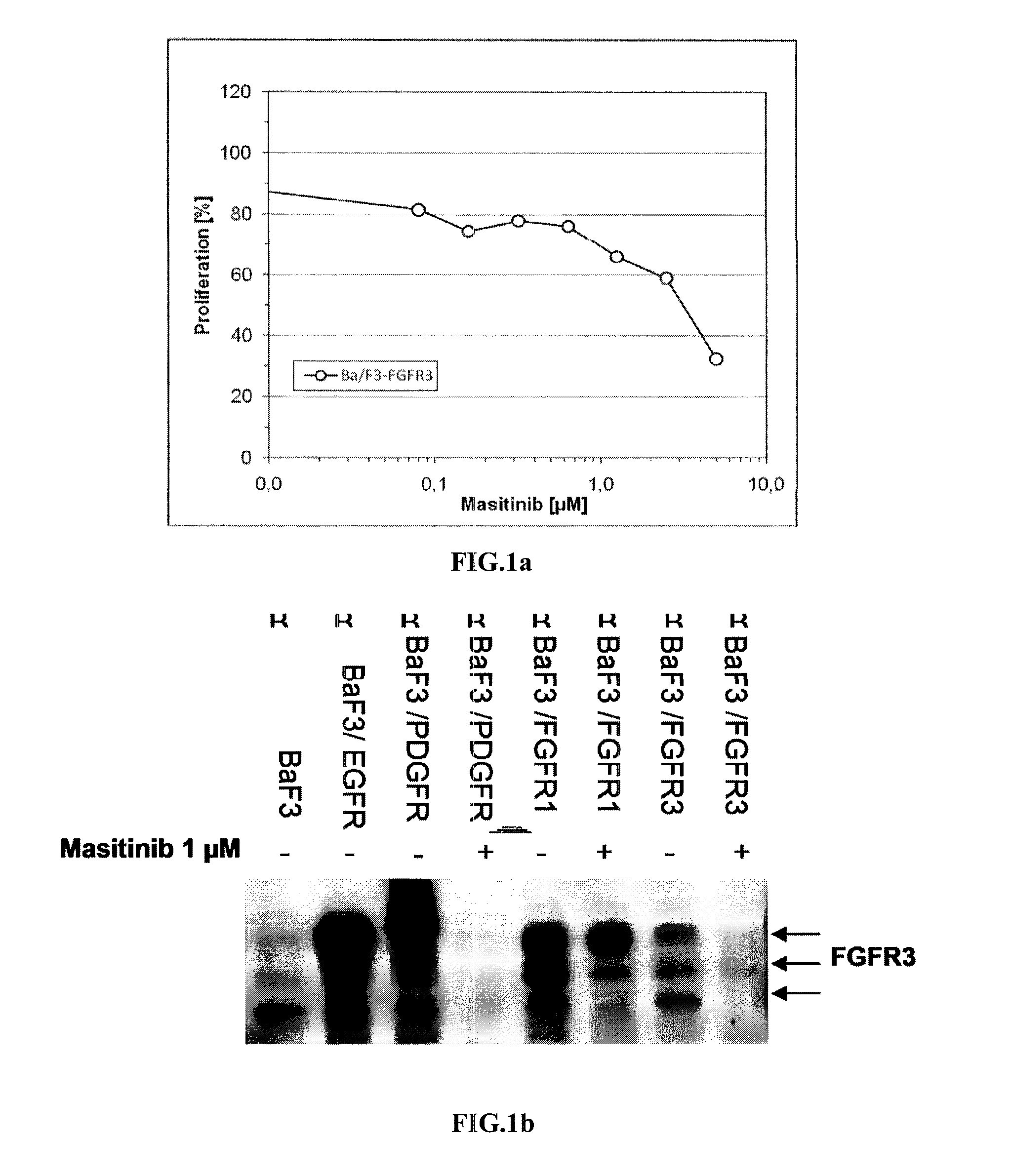 Treatment of multiple myeloma with masitinib