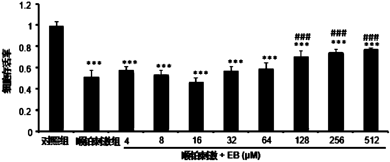 Application of eleutheroside B in preparation of medicine for preventing or treating acute kidney injury