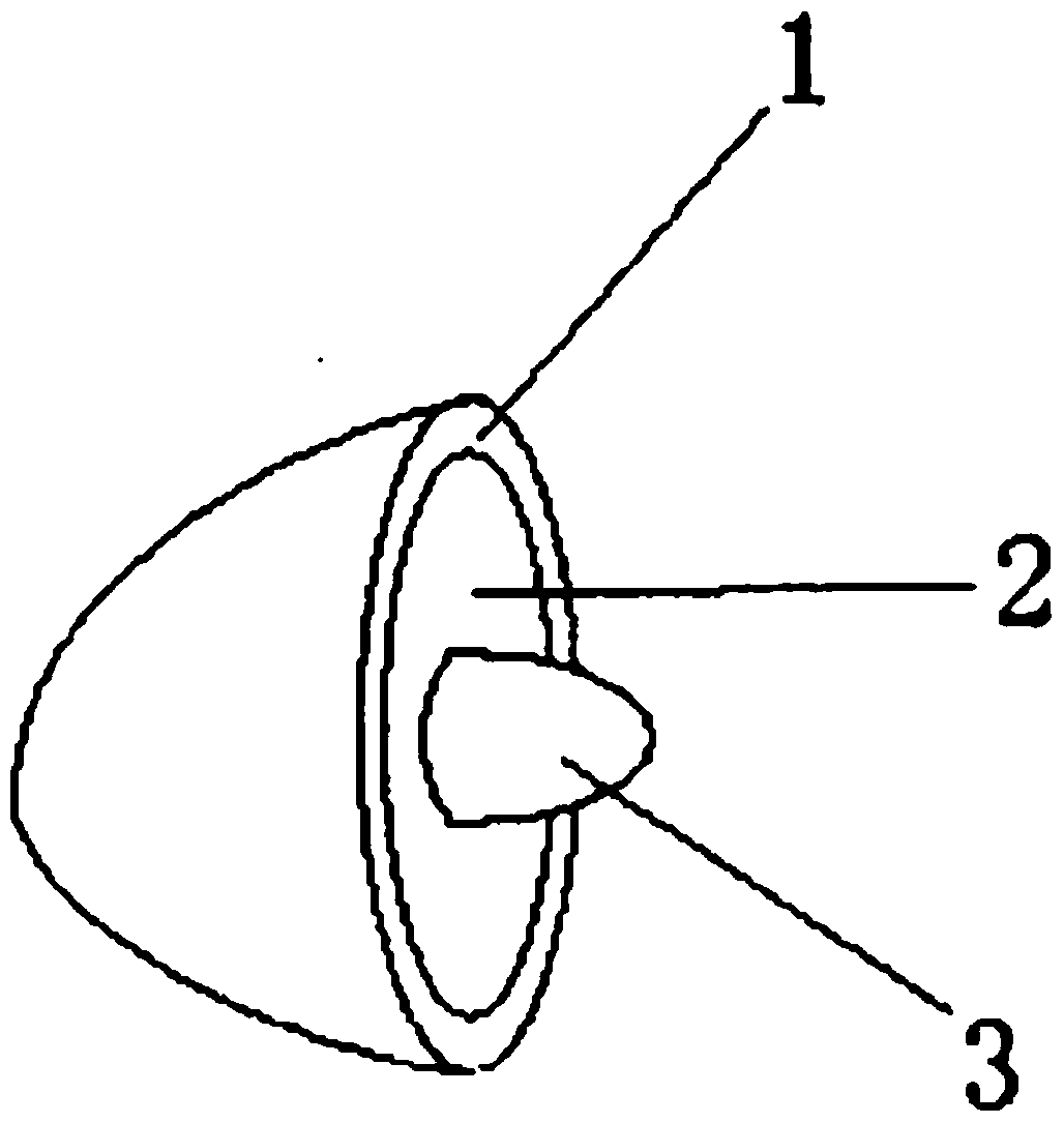 A kind of multi-taste sandwich candy and preparation method thereof