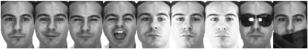 Robust face recognition method based on dictionary decomposition and sparse representation