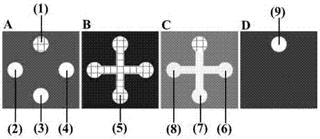 Establishing method of paper-based photoinduced electrochemical biological sensor with high flux