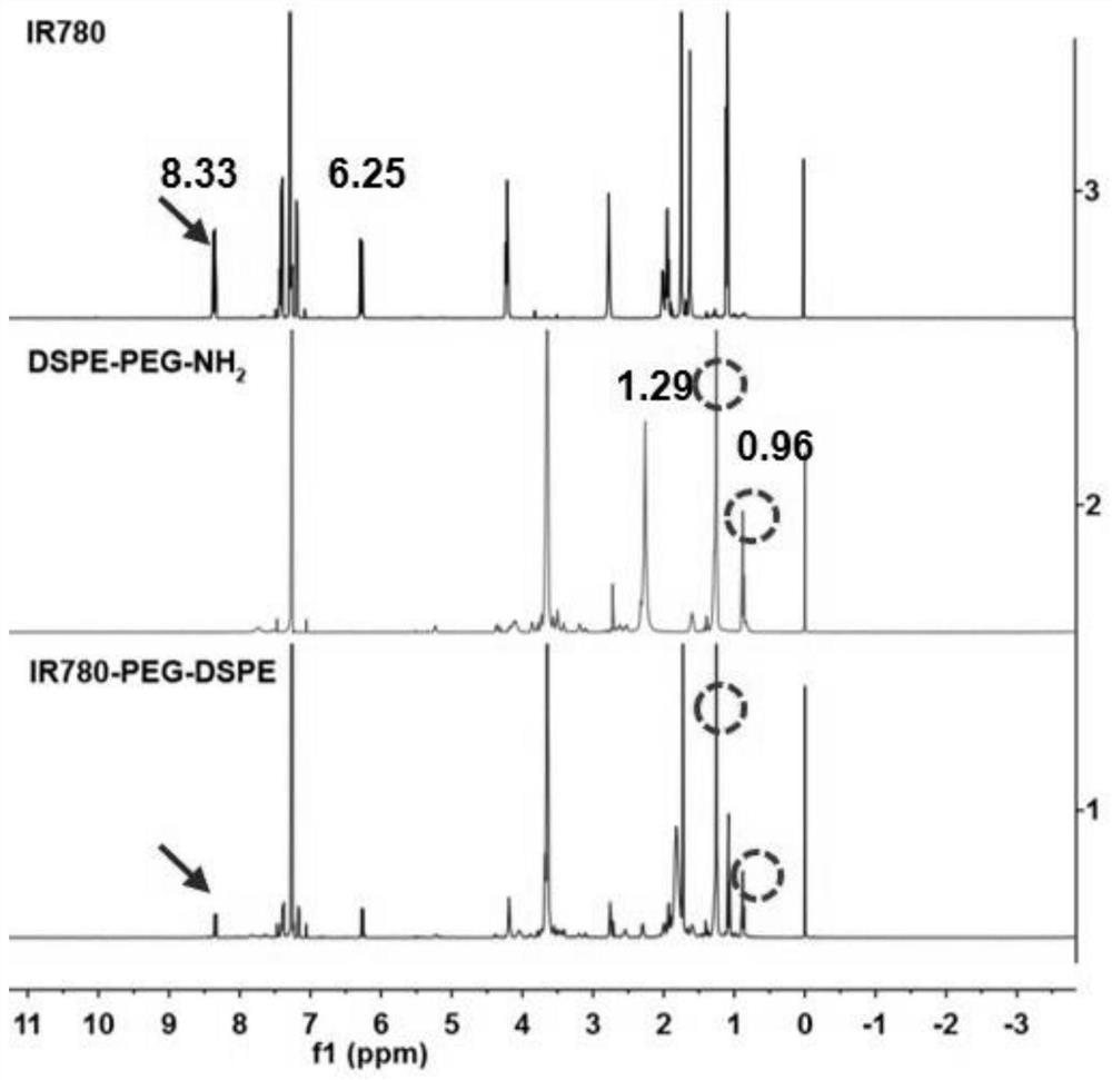 NIR response type biomimetic membrane nano vesicle as well as construction method and application thereof